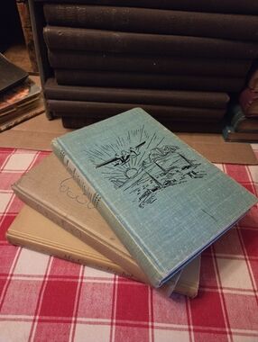 Vintage Books Shelf Stack Display Novels Reading